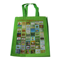  迪庆LB11覆膜无纺布广告袋