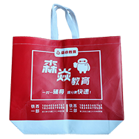  迪庆LB37培训班广告袋